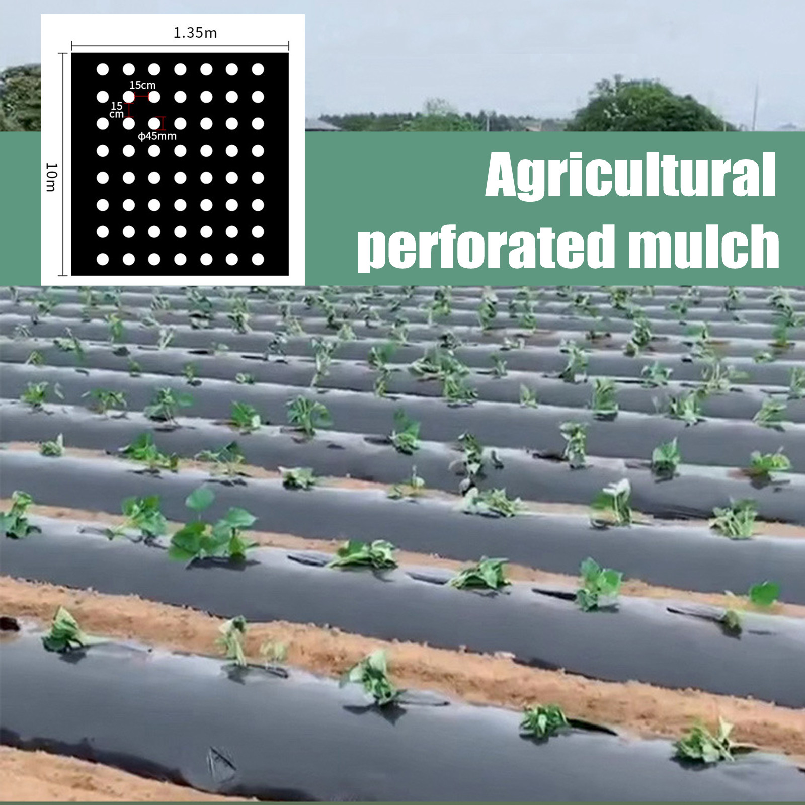 Greenhouse Plastic Film - Lámina de Polietileno Perforada para Agricultura,