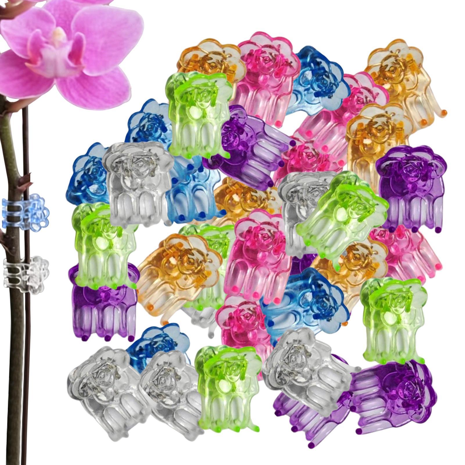 Clips para Orquídeas, 60 Pieza - Greenhouse Plastic Film reseña y precio