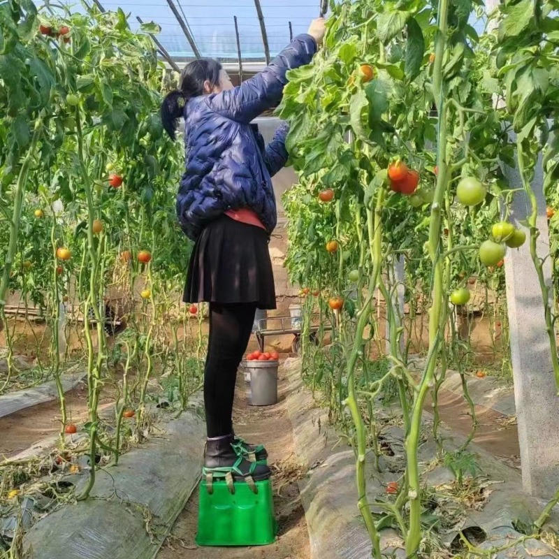 Taburete elevador para inverna - Agriculture Farming Shoes reseña y precio