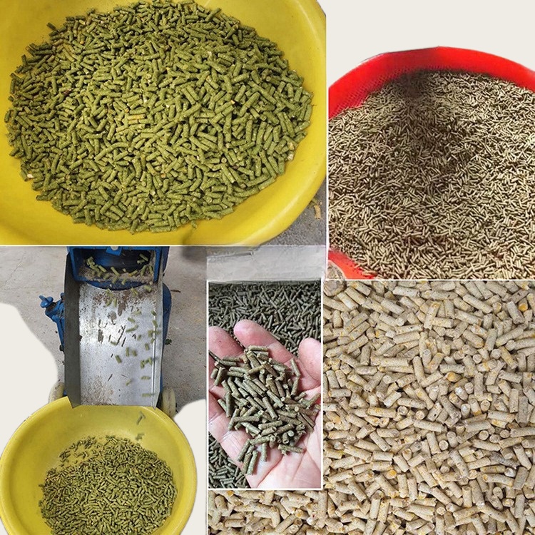 Máquina Peletizadora para Alim - Wood Pellet Making Machine reseña y precio