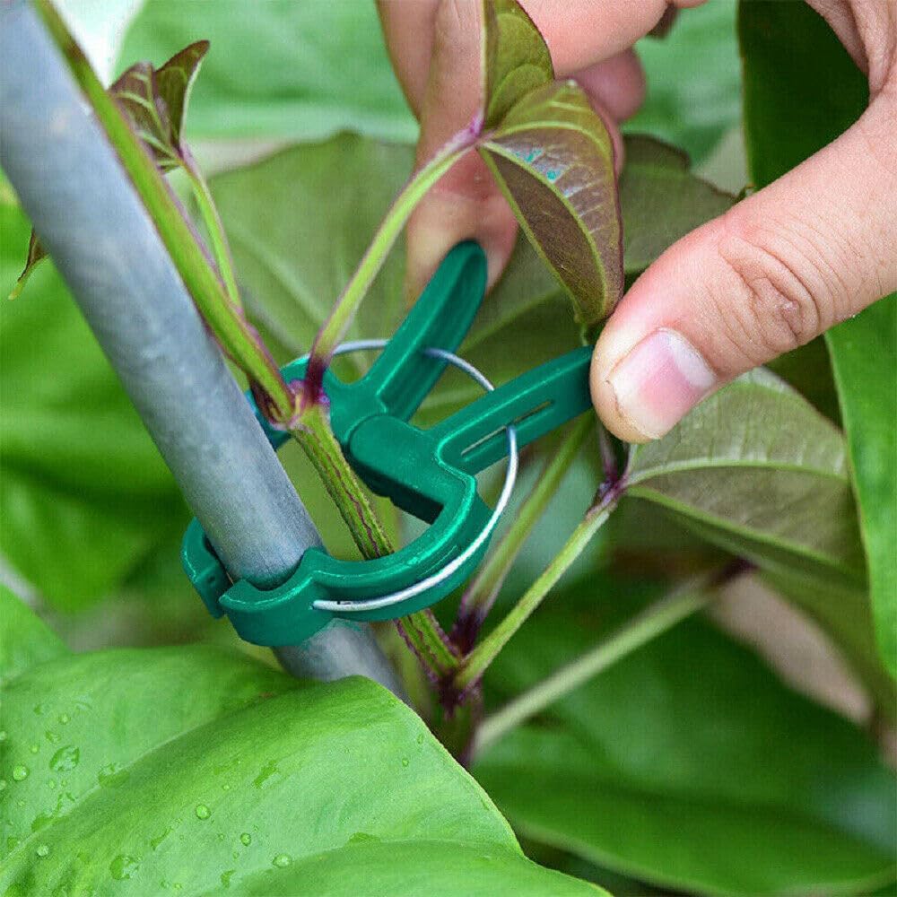 Clips Resistentes para Plantas - Greenhouse Plastic Film reseña y precio